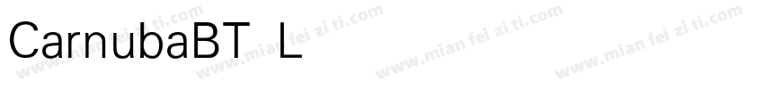 CarnubaBT Light字体转换